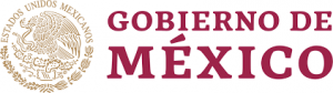 Government of Mexico